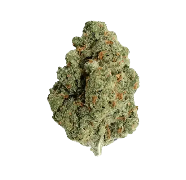 Fleur de CBD Strawberry CBDX premium, têtes de chanvre aux arômes de fraise et baies rouges - LH CBD