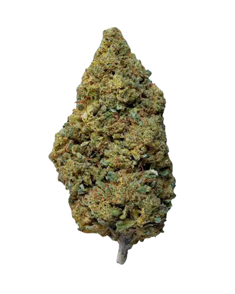 Fleur de CBD Candy Melon CBDX premium, têtes de chanvre aux arômes de melon sucré - LH CBD