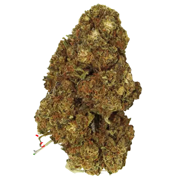 Fleur de CBD Cannatonic Outdoor, chanvre naturel pour relaxation et détente - LH CBD Le Havre