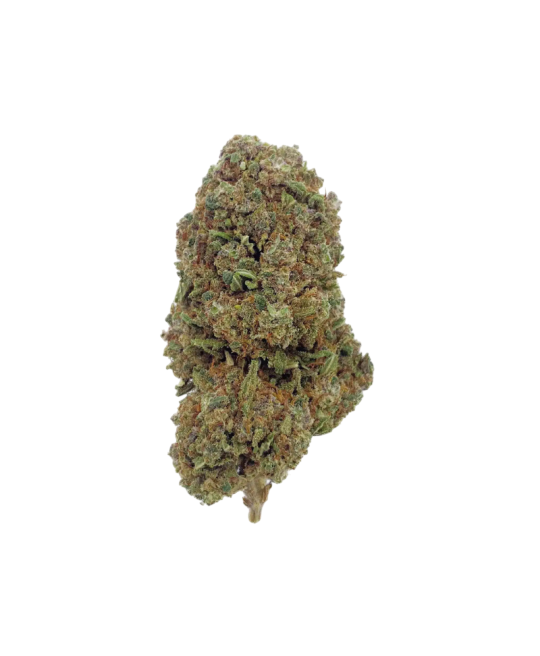 Fleur de CBD Jack Herer CBDX premium, têtes de chanvre aux arômes de pin et d'épices - LH CBD