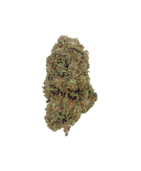 Fleur de CBD Lemon Octane CBDX, têtes de chanvre haut de gamme aux arômes de citron et de carburant - LH CBD