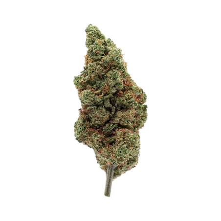 Fleur de CBD Red Cherry CBDX premium, têtes de chanvre aux arômes de cerise et fruits rouges - LH CBD