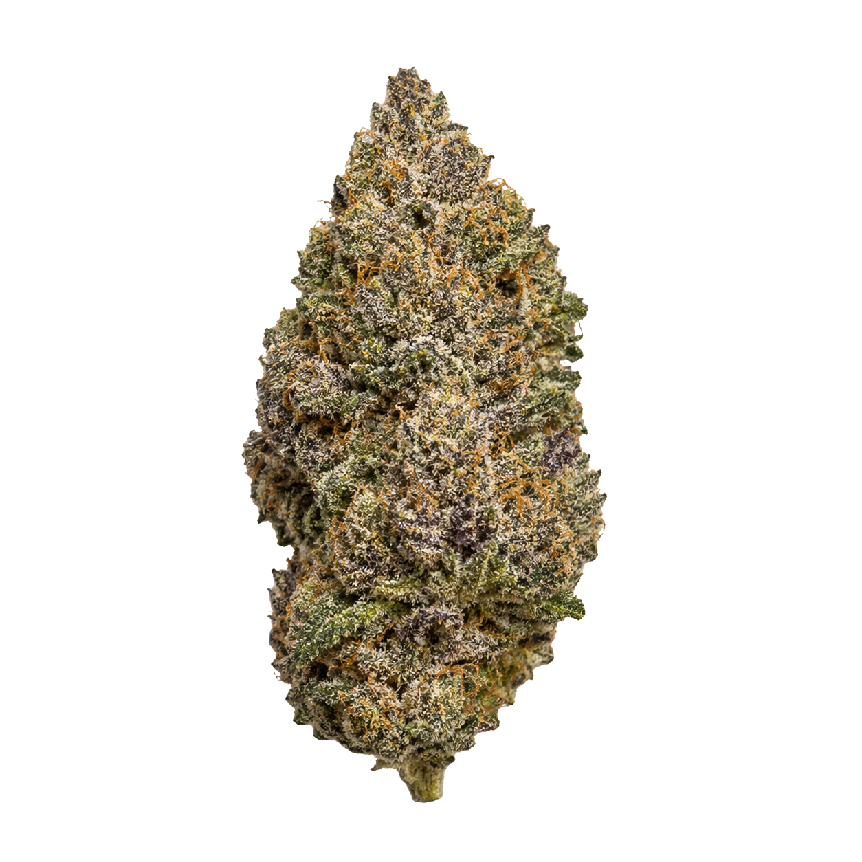 Lemon Purple CBD — Citronnée, Fruitée et Colorée