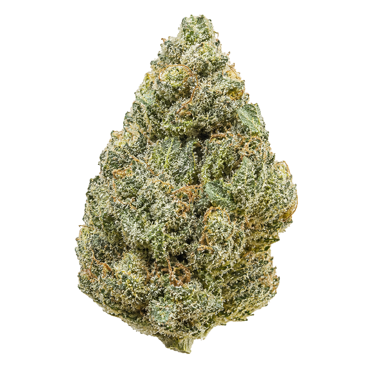 Platinum CBD — Indoor Premium et Ultra Givrée