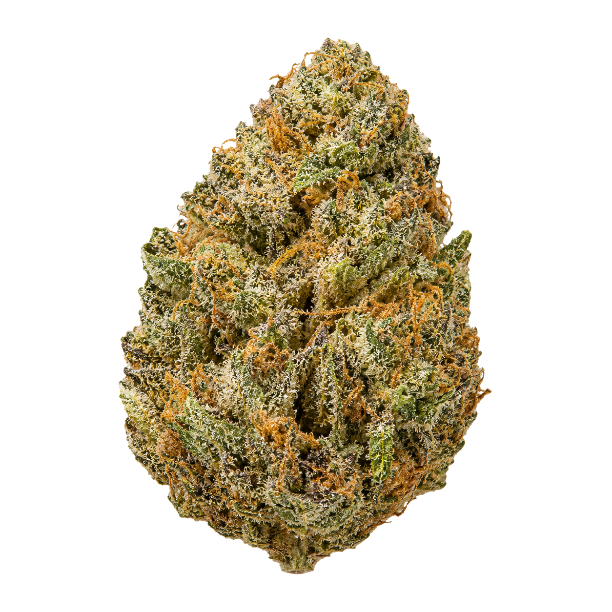 Zombie Kush CBD — Sombre, Résineuse et Intense