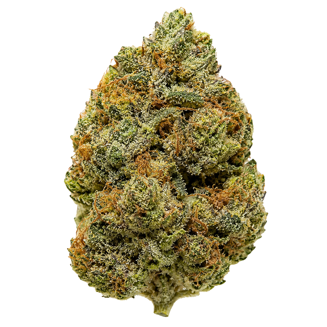 Acheter la Fruit Cake CBD, une variété Greenhouse gourmande aux notes fruitées, sucrées et légèrement terreuses. Cette fleur compacte et résineuse offre une expérience douce et équilibrée.