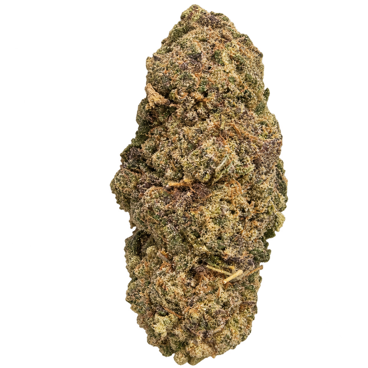 Fleur OG Kush CBE aux reliefs marqués, vert olive et brun – LH CBD